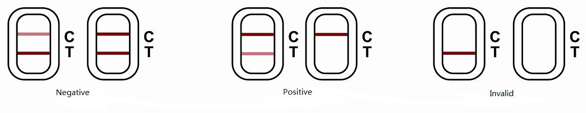 Rapid Test Strip-5