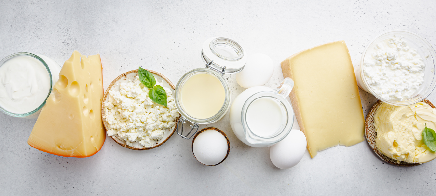Dairy AFM1