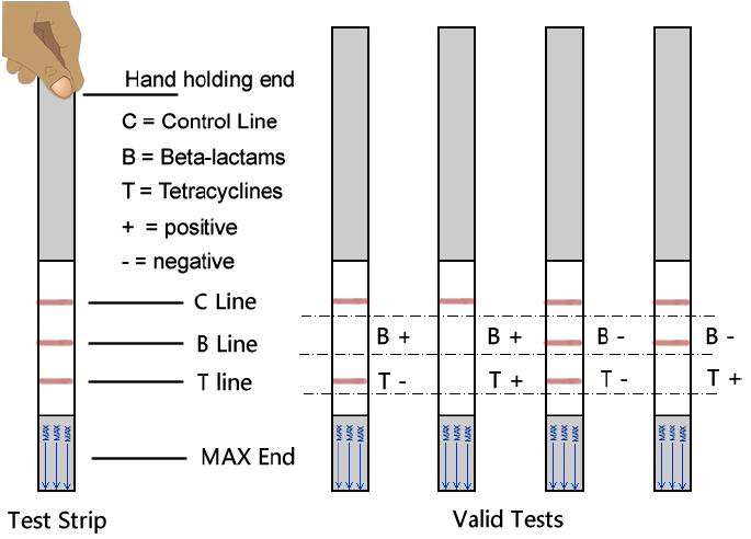 MilkGuard 2 sa 1 BT Combo Test Kit