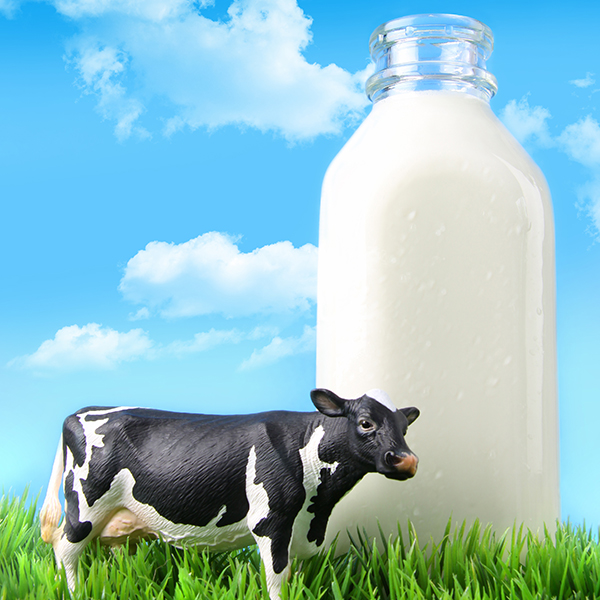 testi i antibiotikëve të qumështit