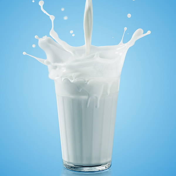 testni listič za mleko
